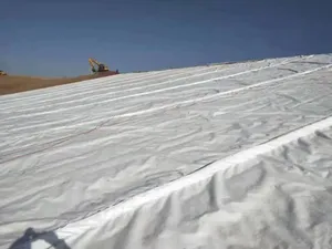 Drainage Geocomposite Cell Board With One-sided Fiber Geotextile Crop Cover Vegetables Fabric