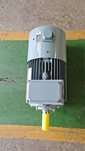 Büyük yüksek güç 6P değişken frekans hız ayarı üç fazlı asenkron AC motor 55kw IP55 60HZ - Product Image 5