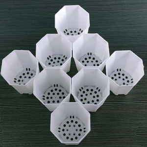Maceta octogonal blanca de plástico con orificios de drenaje para uso modular en escritorio o pared. - Product Image 1