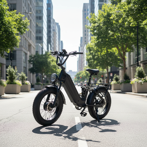 Bicicleta Eléctrica con Llantas Gruesas de 20*4.0, Batería de 60V 30Ah, Motor Dual de 2000W, Frenos de Disco Hidráulicos, D2-20-2, Bicicleta con Doble Motor D2-20- - Product Image 5