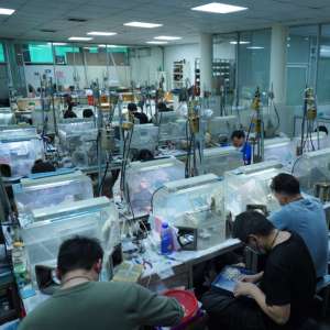 Collier unisexe en argent 925 plaqué or, motif serpent <span class=keywords><strong>Chopin</strong></span>, avec pendentif goutte d'eau et diamant, bijoux Dan - Product Image 5