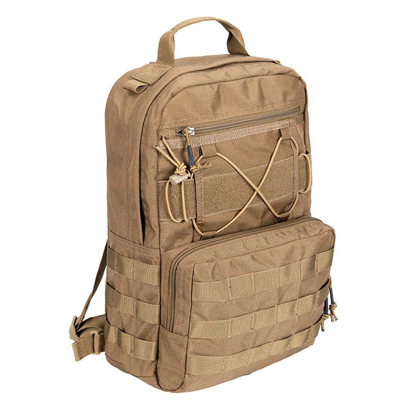 โคโยตี้