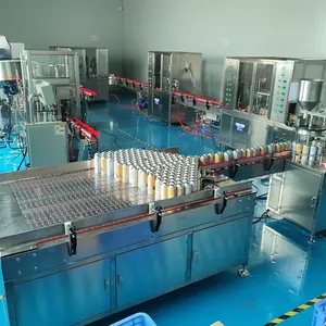 Full Automatic Aerosol Machine Liquid Filling Sealing Gas Filling Weight Checking Production Line For Paint Spray