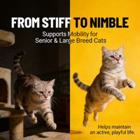 Nourriture sèche pour chats à haute teneur en viande naturelle, formule riche en protéines, faible en matières grasses et en glucides, soutien articulaire, croquettes pour chats avec emballage personnalisé
