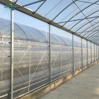Serre agricole moderne multi-travées avec structure en acier galvanisé à chaud pour la culture commerciale de légumes sous film plastique