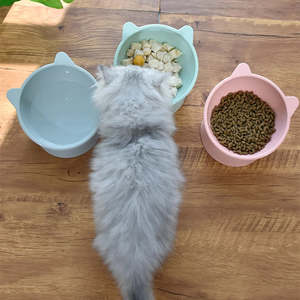 Bol surélevé pour animaux de compagnie – Adorable gamelle sur pieds pour chats et chiens - Product Image 6