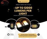 Kingshowstar - Luz LED Ámbar y Blanca para Autos y Camionetas