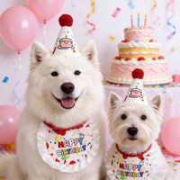 Ensemble de chapeaux d'anniversaire pour animaux de compagnie avec sangle réglable, décorations pompons, kit de costume pour photos d'anniversaire de chiots et chatons