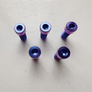 Titan vít M3 M5 <span class=keywords><strong>M6</strong></span> M8 <span class=keywords><strong>x</strong></span> 1.25x20mm <span class=keywords><strong>10mm</strong></span> - 65mm Pitch 1.0mm ti Hex ổ cắm Allen cap đầu bu lông cho đường xe đạp ghế din913 - Product Image 6