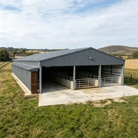 Nave Prefabricada de Acero para Ganado, Cobertizo Abierto de Gran Envergadura, Estructura Metálica para Granja Ganadera y Almacenamiento Agrícola