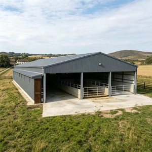 Bâtiment préfabriqué en acier pour élevage, hangar ouvert à grande portée, structure métallique pour ferme bovine et stockage agricole - Product Image 3