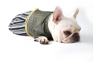 Pakaian Hewan Peliharaan Mewah Kualitas Tinggi Kimono Pakaian Samurai Jepang Pakaian Anjing Kucing Corgi - Product Image 3