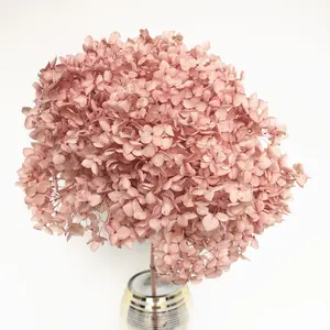 20-25CM Real Natural Dry Flower Preserved Hydrangea Flowers Branches Eternal Forever Hydrangeas With Wedding Decor