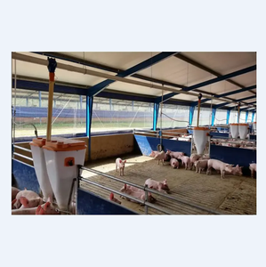 Naves Ganaderas Prefabricadas De Estructura Metalica Para Granjas <strong>Porcinas</strong> Explotaciones Ganaderas Y Establos De Vacas Lecheras - Product Image 4