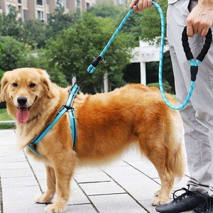 5M 50KG Correa retráctil automática para perros Nylon Caminar Correr Cuerda de plomo <span class=keywords><strong>Ruleta</strong></span> para perros medianos y grandes Suministros para mascotas al aire libre Hund - Product Image 6