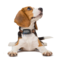 Traceur GPS pour animaux de compagnie EV-201M avec suivi en temps réel par satellite, collier pour chien avec boîte d'emballage personnalisée