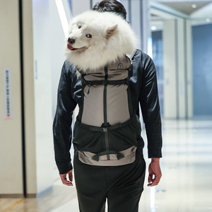 Lüks büyük köpek sırt çantası taşıyıcı nefes örgü <span class=keywords><strong>Pet</strong></span> malzemeleri bisiklet ve motosiklet seyahat için - Product Image 5