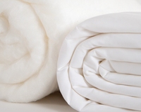 Couette en soie douce 100% couette remplie de soie de mûrier été hiver Offres Spéciales couette