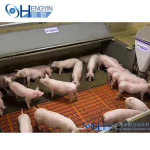 사용자 정의 piggery 농장 장비 돼지 집 Weaned piglet 보육 펜 상자 스톨 케이지