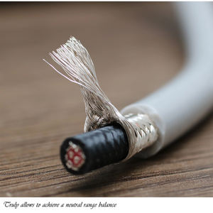 YIVO XSSH 99.999 5N OCC argent pur 9mm 2 Core 22AWG bricolage câble de Signal Audio HiFi haute densité <span class=keywords><strong>Double</strong></span> <span class=keywords><strong>couche</strong></span> argent paire torsadée - Product Image 4