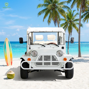 Voiture électrique BEEMOTOR Moke, vitesse élevée 80 km/h, batterie au lithium, 4 places, design personnalisable - Product Image 5