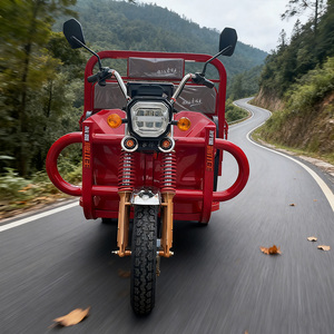 Triciclo Elettrico Sicuro e Popolare di Alta Qualità 60V 1000W, Triciclo Elettrico a <span class=keywords><strong>Tre</strong></span> <span class=keywords><strong>Ruote</strong></span> con Cassone Ribaltabile per Consegne - Product Image 2