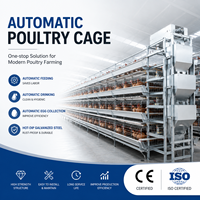 Nouvelle cage à poulets automatique de type H en acier galvanisé, conception à 3-8 niveaux, capacité de 90 à 200 poulets, facile à nettoyer
