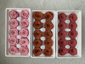 رؤوس زهور محفوظة مباشرة من مصنع Lovebay رأس ورود أحمر وأبيض وردي خالدة للأبد محفوظة إلى الأبد - Product Image 3