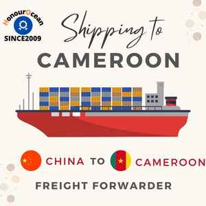 مواقع التسوق الدولية وكيل الشحن الصين إلى كاميروون شهادة المنتج منتجات الموزع للشحن في جميع أنحاء العالم - Product Image 2