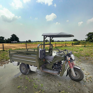 Tricycle à essence à 3 roues, trike 200cc, moteur à essence Guta Sinoray, tricycles motorisés, transport, grand tricycle à marchandises, moto - Product Image 3