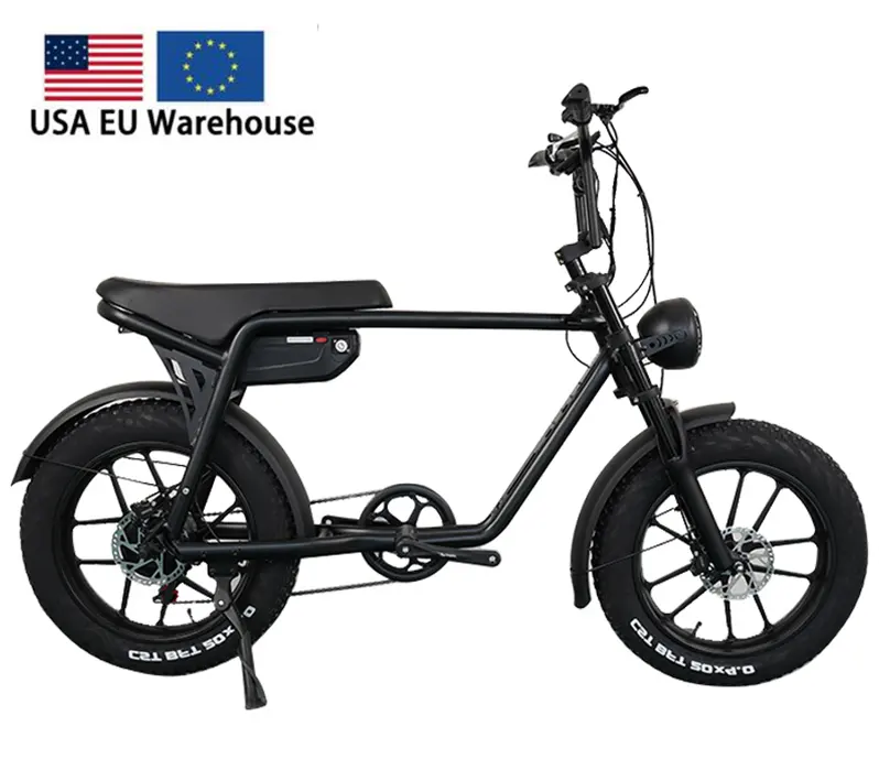 Netherlands Trendy Eu Warehouse Electric Bicycle Mountain eBike Folding Fat Tire Electric Bike