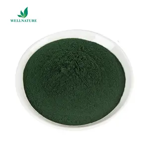 Pigment Green Sodium Zinc Chlorophyllin Chlorophyll Sodium Powder