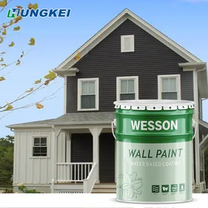 Outdoor Solvent-based Paint Suitable for Internal and External Wall Maintenance and Protection with Fissure