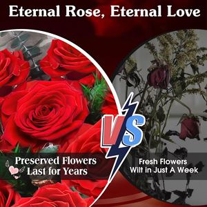 Ramo de Rosas Eternas Luminosas (12 Rosas LED) en Caja Cuadrada Hecha a Mano, Única para <span class=keywords><strong>el</strong></span> Día de la Madre, Aniversario de Bodas - Product Image 4