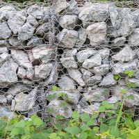 Cage de gabion hexagonale en PVC, 2,7 mm, 80x100 mm, ASTM A975, panier de gabion pour la protection des pentes