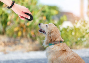 Kingtale Verstelbaar Geluid Sleutelhanger Personalizado Logo <span class=keywords><strong>Starmark</strong></span> Hondentrainer Anti Blaffen Apparaat Huisdier Training Box Clicker - Product Image 3