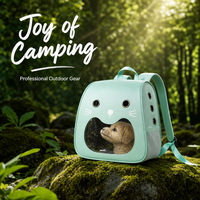 Sac à dos de transport pour animaux de compagnie, respirant, en maille, homologué par les compagnies aériennes, pour la marche en plein air, la randonnée, les voyages, pour chat et chien, vente en gros, usine