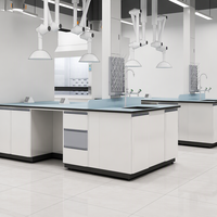 Banc de laboratoire universitaire tout acier, poste de travail latéral pour l'enseignement et la recherche scientifique en collège, mobilier de laboratoire