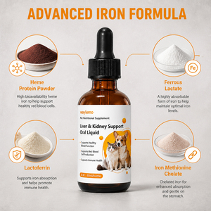 Waylemo Liver and Kidney Support Liquid for Senior Dogs <strong>Cats</strong> Hepatic <strong>Renal</strong> Health Blood Function 60ml Dropper Bottle - Product Image 3
