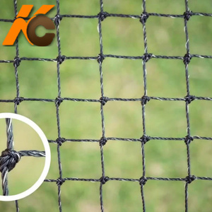 Olive màu xanh lá cây hoặc màu đen <span class=keywords><strong>Nylon</strong></span> gia cố với dây thép mèo bảo vệ <span class=keywords><strong>Net</strong></span> ban công PET an toàn lưới - Product Image 2