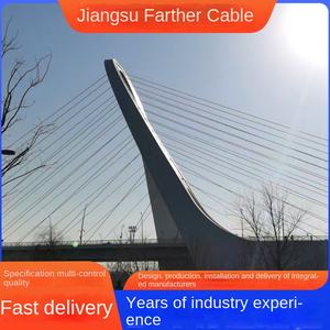 桥梁索缆施工安装 高速桥斜拉索 预应力不锈钢结构索索具 中国 - Product Image 2