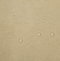 Double-sided Coated Food-grade Offset-printable Paperboard