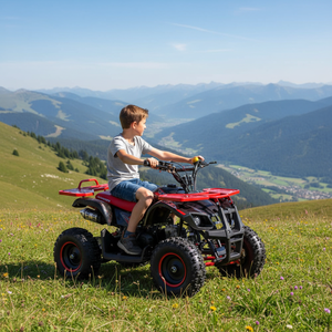 <span class=keywords><strong>Quad</strong></span> Tao Motor Stroke Mini pour enfants 50cc 2 temps à essence, transmission par chaîne, 2 roues motrices, <span class=keywords><strong>36V</strong></span>, démarrage <span class=keywords><strong>électrique</strong></span> automatique, certifié CE - Product Image 1