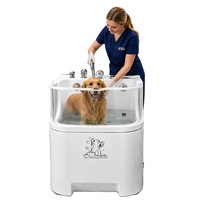 Baignoire moderne en acrylique DPbathe pour toilettage de chiens avec ozone, baignoire de massage autoportante à LED avec drain, idéale pour les salles de bain