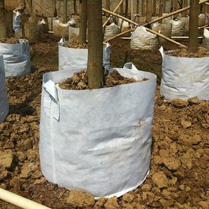 Bolsas de cultivo de árboles para crecimiento de plantas, 180GSM / 200GSM/250GSM, poliéster o PP - Product Image 4