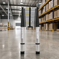 Échelle télescopique en aluminium multi-positions pliable pour le nettoyage des toits, la peinture, les réparations domestiques, les travaux de construction