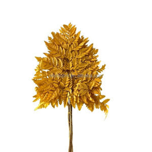 Foglie di <span class=keywords><strong>Felce</strong></span> Essiccate e Conservate Arachniodes, Vendita Diretta dalla Fabbrica dello Yunnan, per Decorazioni Floreali - Product Image 5