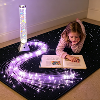 Tubes Snoezelen multisensoriels, colonne d'eau sur pied, lampe à fibres optiques, tapis lumineux étoilé, lumière pour chambre d'autisme