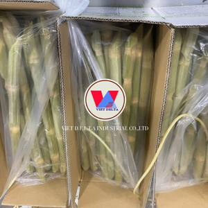 CANNE À SUCRE PURE CONGELÉE ÉTIQUETTE NATURELLE À BASE DE PLANTES SUPPORT IMMUNITAIRE - Product Image 1