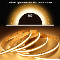 Bande LED COB Pixel Monocouleur CCT à Effet de Chasse, Guirlandes Lumineuses Adressables WS2811 10mm 24V 360 LED/m, Ruban LED SPI à Effet Eau Courante